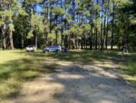 santee-cooper-wma-wide-1-2.jpg